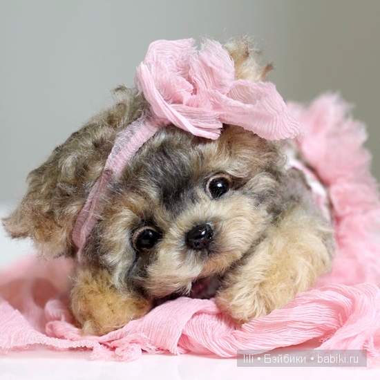 Авторские игрушки Анны Волковой