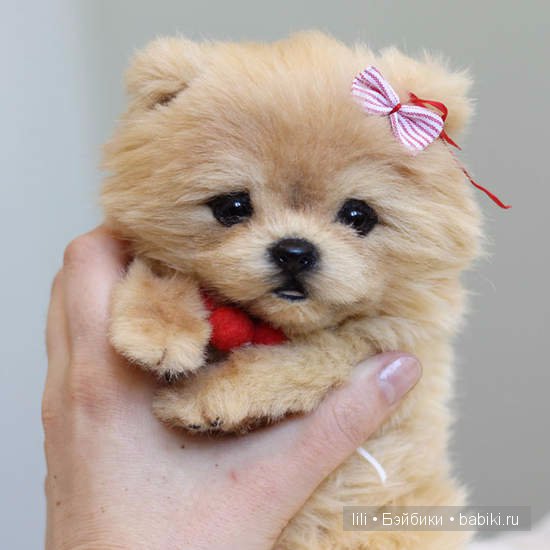 Авторские игрушки Анны Волковой