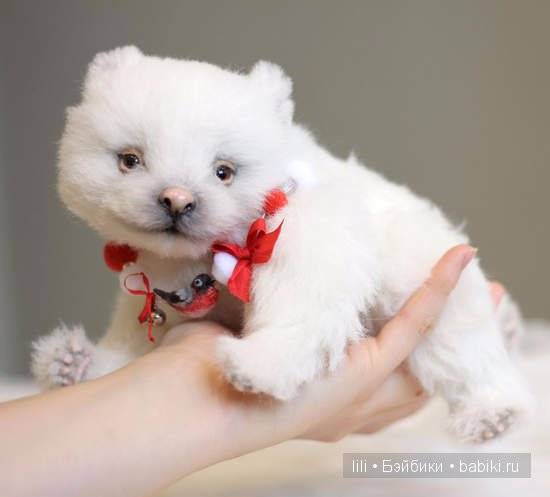 Авторские игрушки Анны Волковой