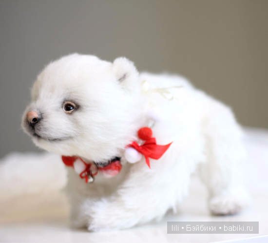 Авторские игрушки Анны Волковой