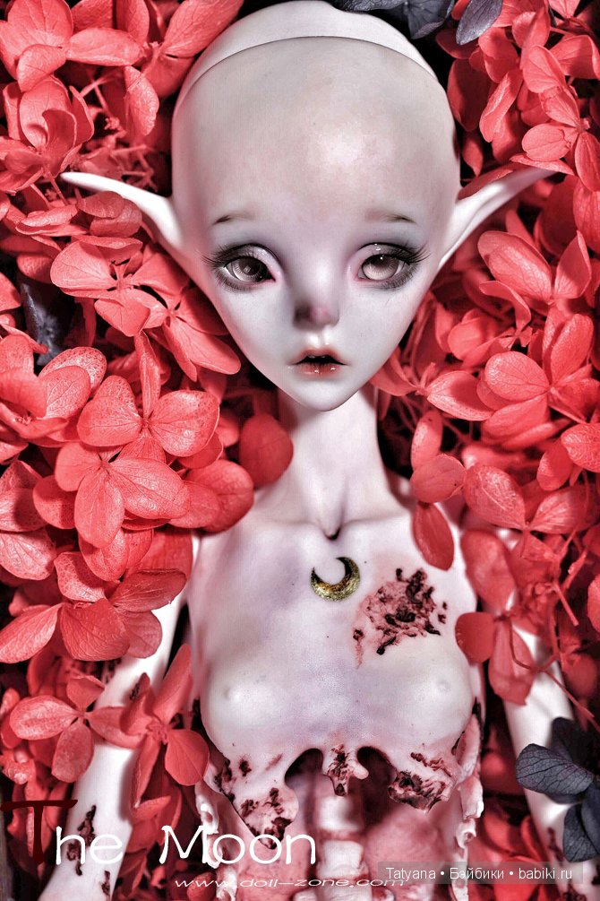 Dollzone. Скидки на Moon и Star