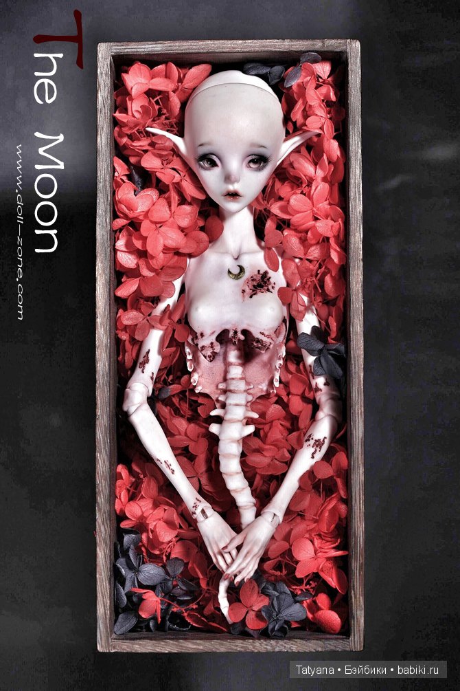 Dollzone. Скидки на Moon и Star (фото 2)