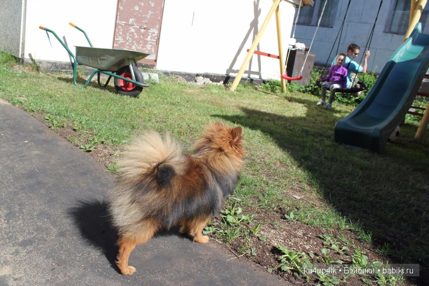 Наш Персик — Болталка и разговоры обо всем: жизнь