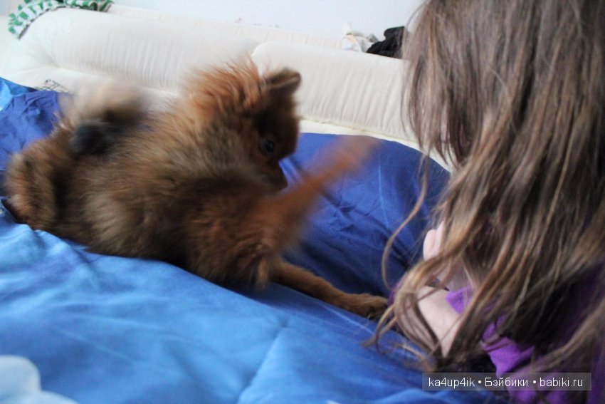 Наш Персик — Болталка и разговоры обо всем: жизнь