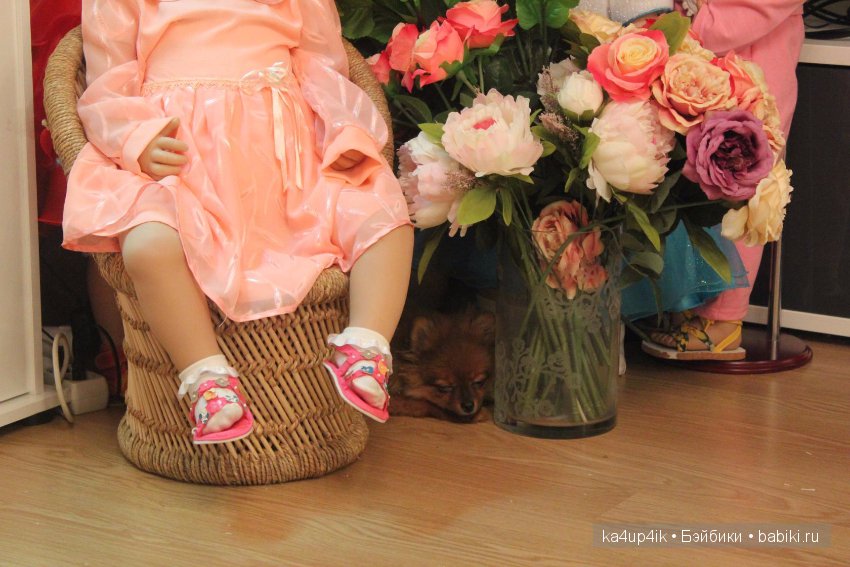 Наш Персик — Болталка и разговоры обо всем: жизнь