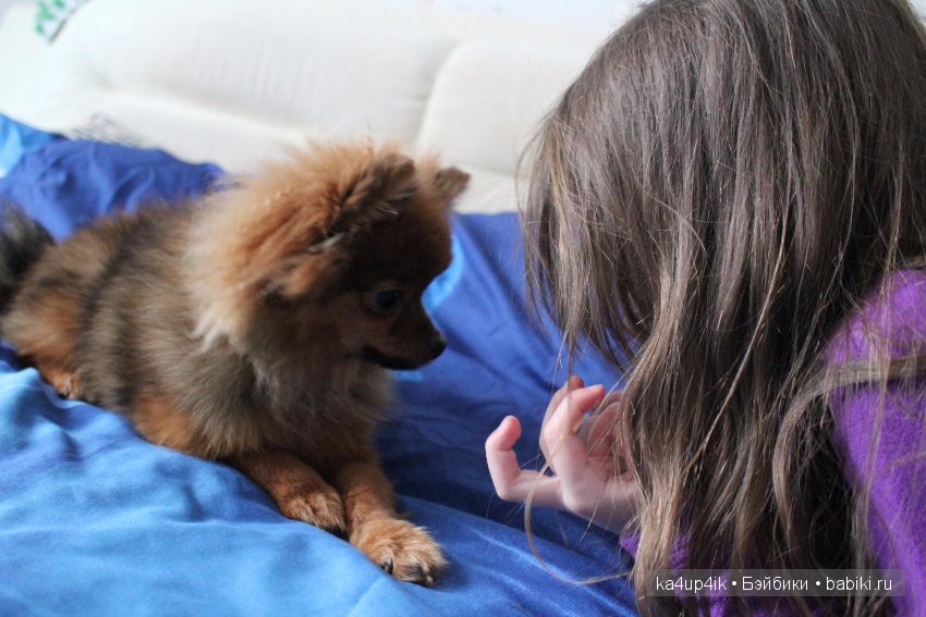 Наш Персик — Болталка и разговоры обо всем: жизнь