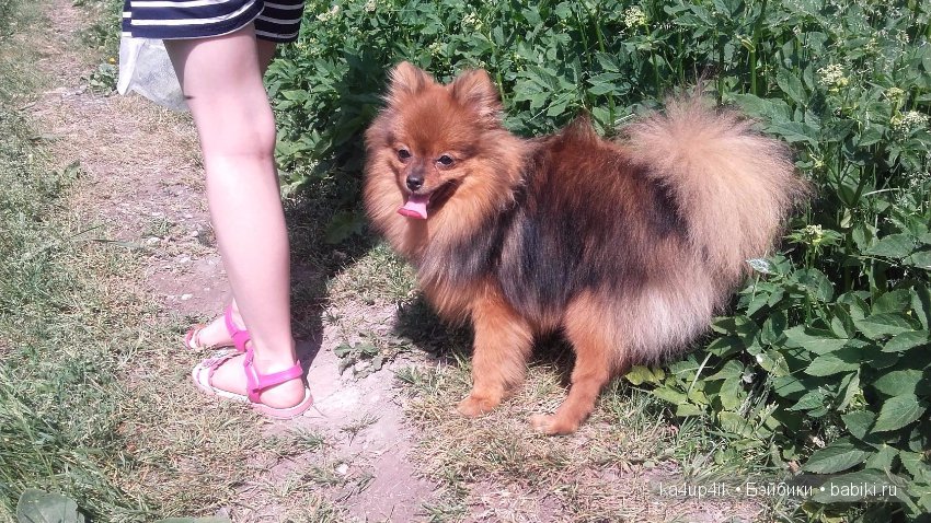 Наш Персик — Болталка и разговоры обо всем: жизнь (фото 7)