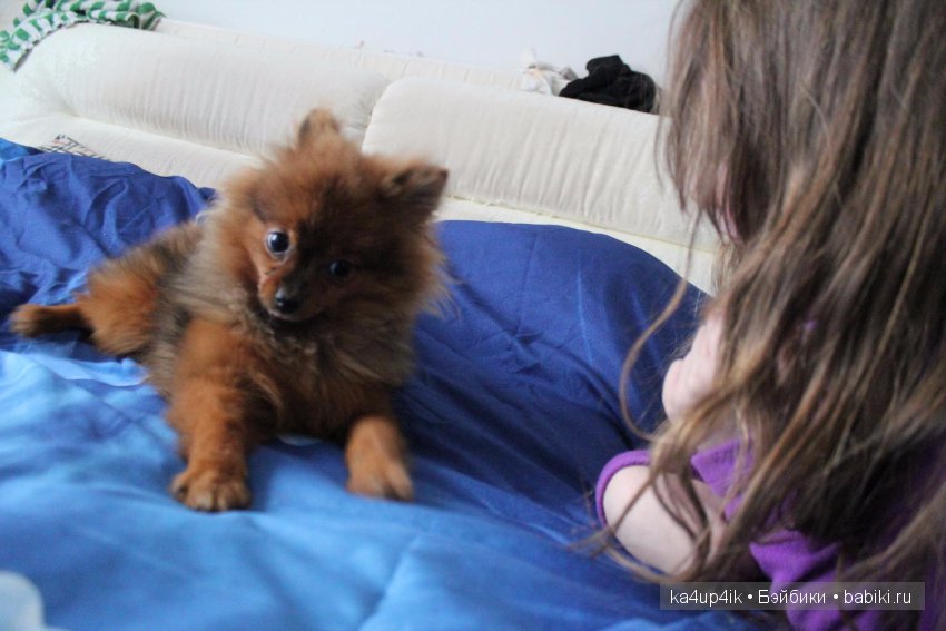 Наш Персик — Болталка и разговоры обо всем: жизнь