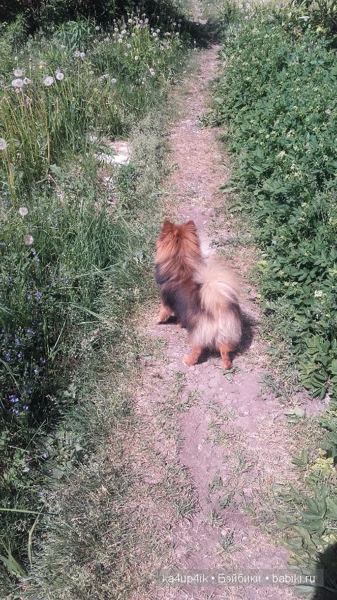 Наш Персик — Болталка и разговоры обо всем: жизнь (фото 2)