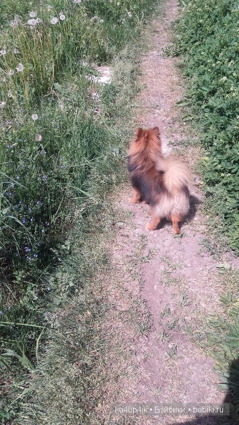 Наш Персик — Болталка и разговоры обо всем: жизнь (фото 4)