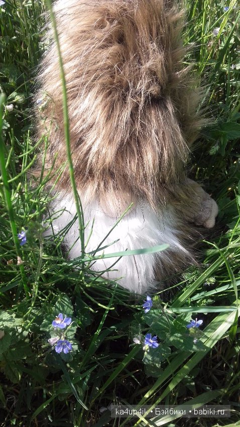 Боярин Кашкин сбежал из думы