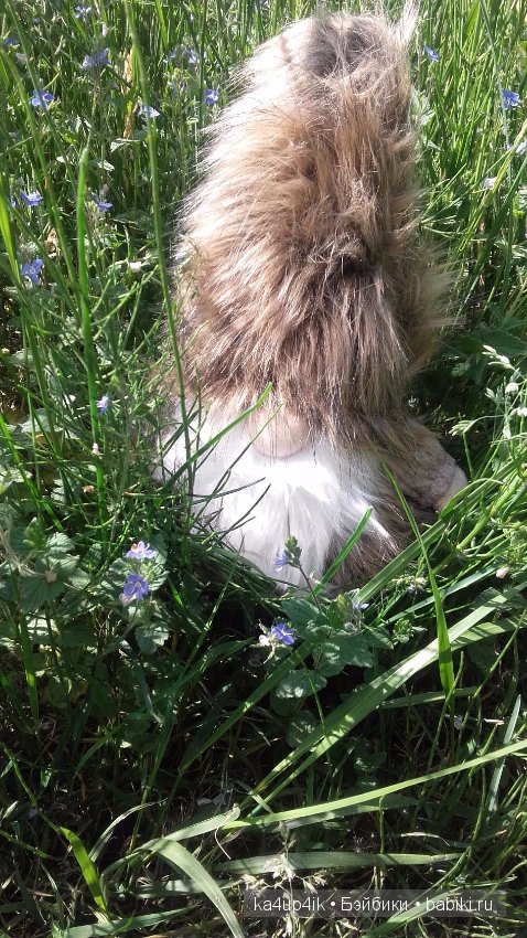 Боярин Кашкин сбежал из думы