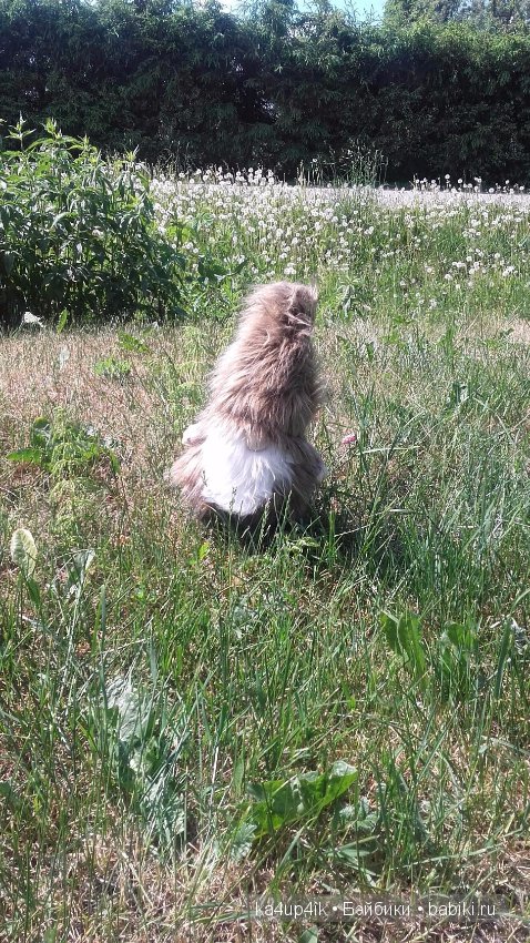 Боярин Кашкин сбежал из думы