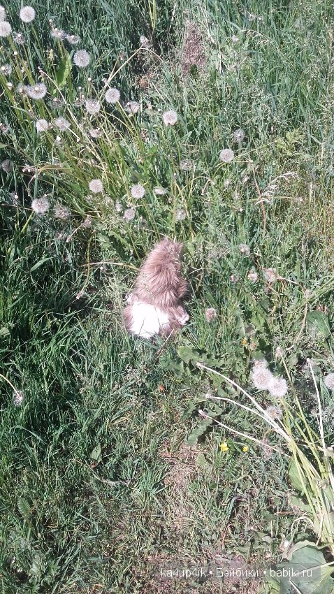 Боярин Кашкин сбежал из думы