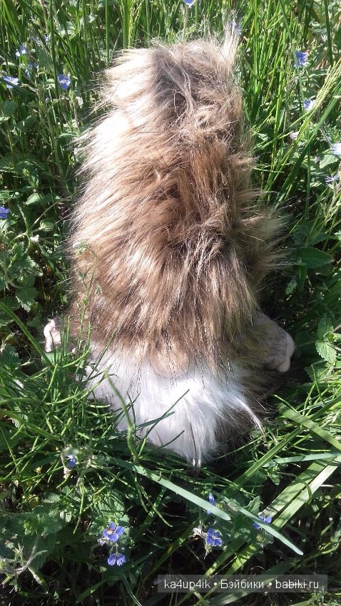 Боярин Кашкин сбежал из думы (фото 2)