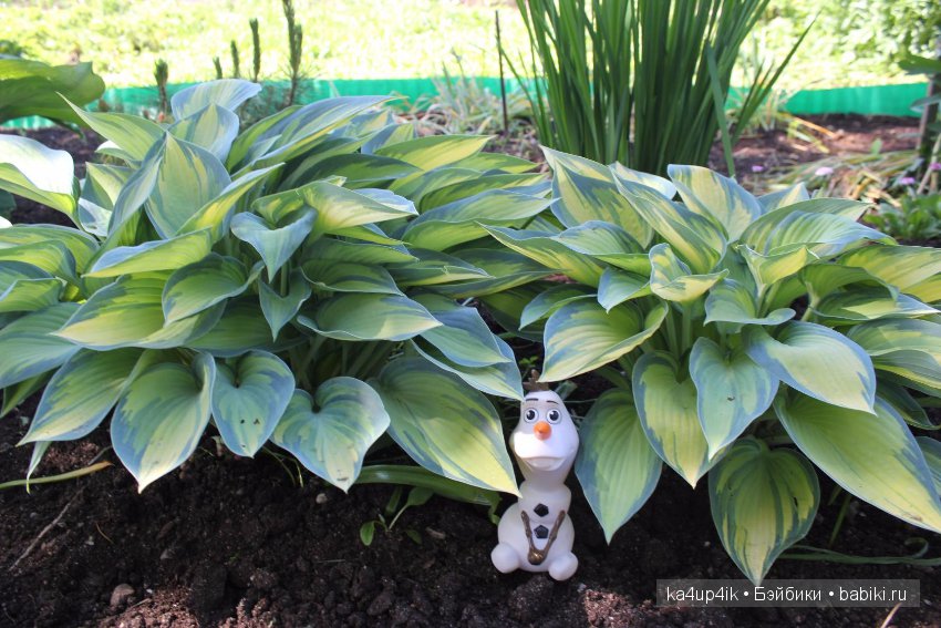 Олав увидел лето — Интересные игрушки и фигурки (разное): редкие