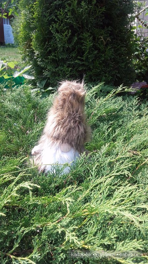 Боярин Кашкин сбежал из думы (фото 8)