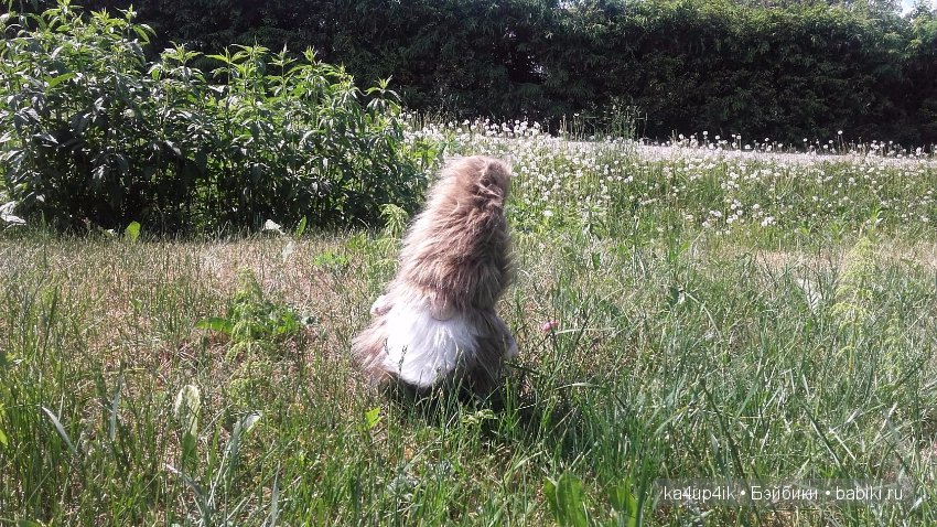 Боярин Кашкин сбежал из думы