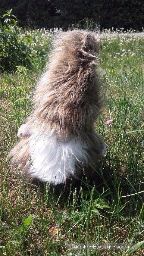 Боярин Кашкин сбежал из думы