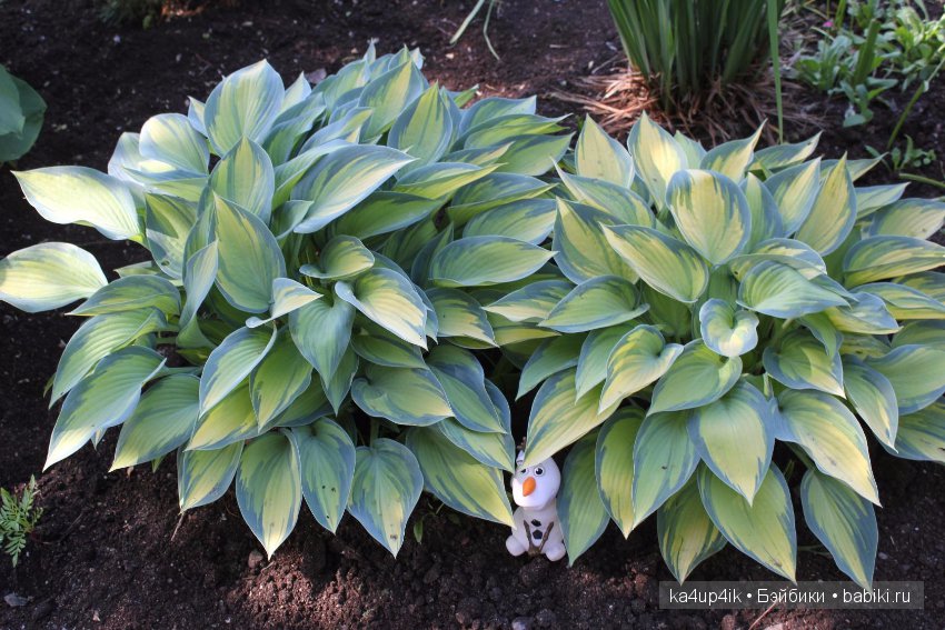 Олав увидел лето — Интересные игрушки и фигурки (разное): редкие