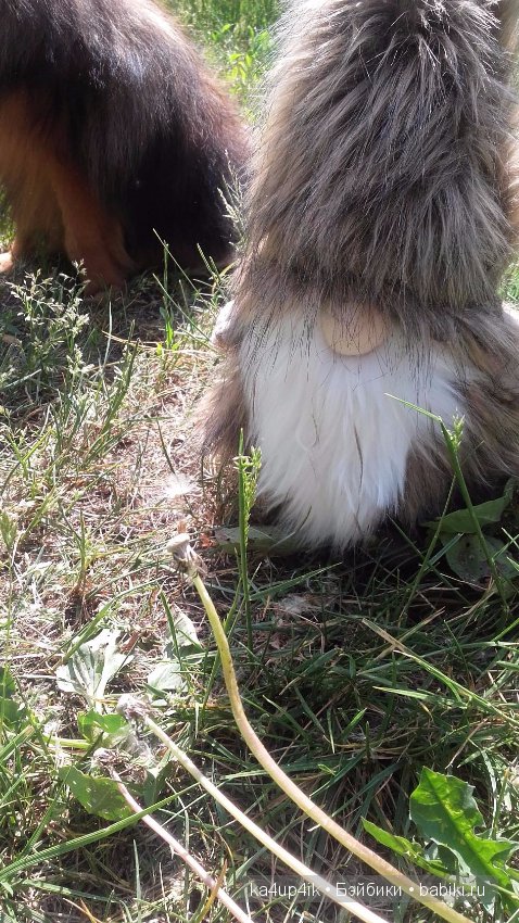 Боярин Кашкин сбежал из думы