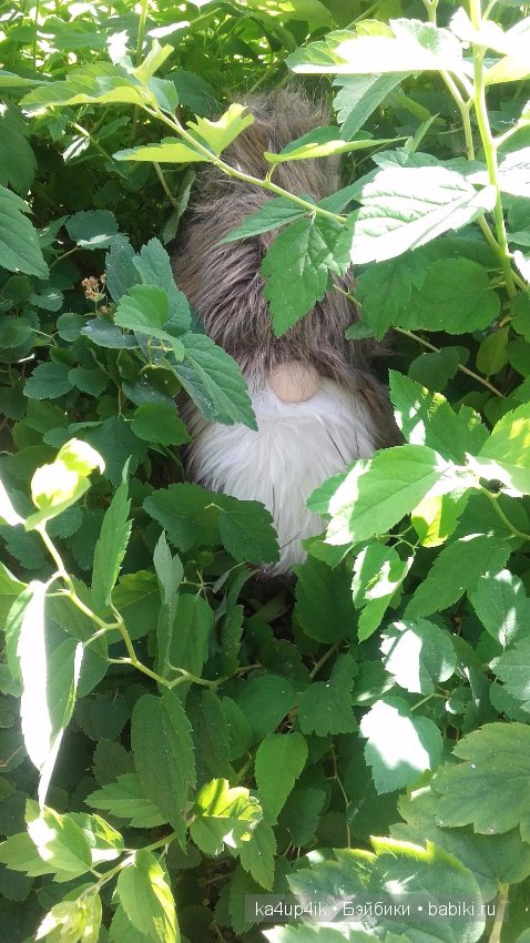 Боярин Кашкин сбежал из думы (фото 5)