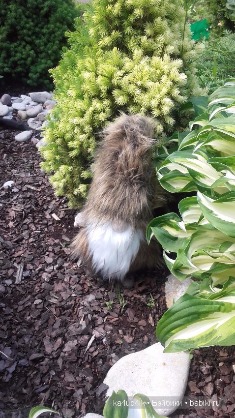 Боярин Кашкин сбежал из думы (фото 10)