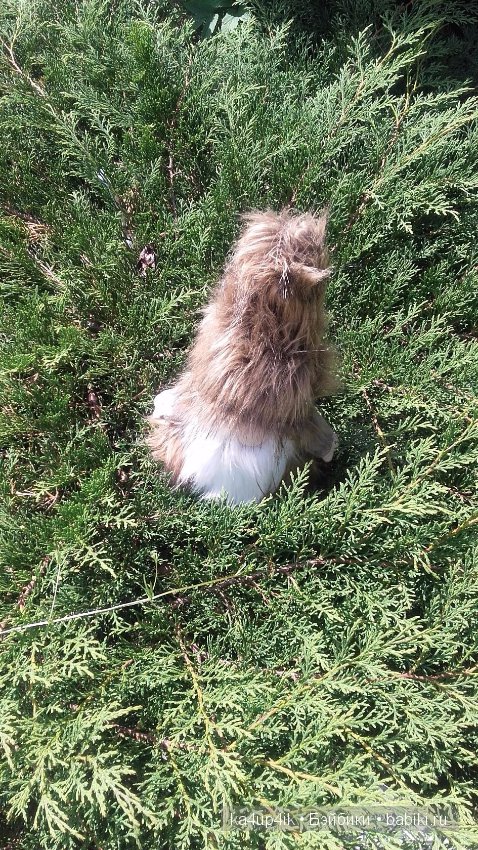 Боярин Кашкин сбежал из думы (фото 7)