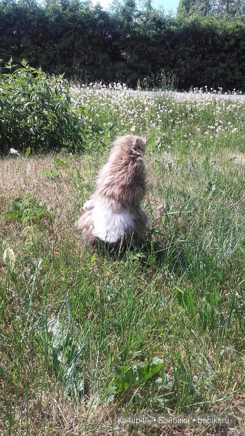 Боярин Кашкин сбежал из думы