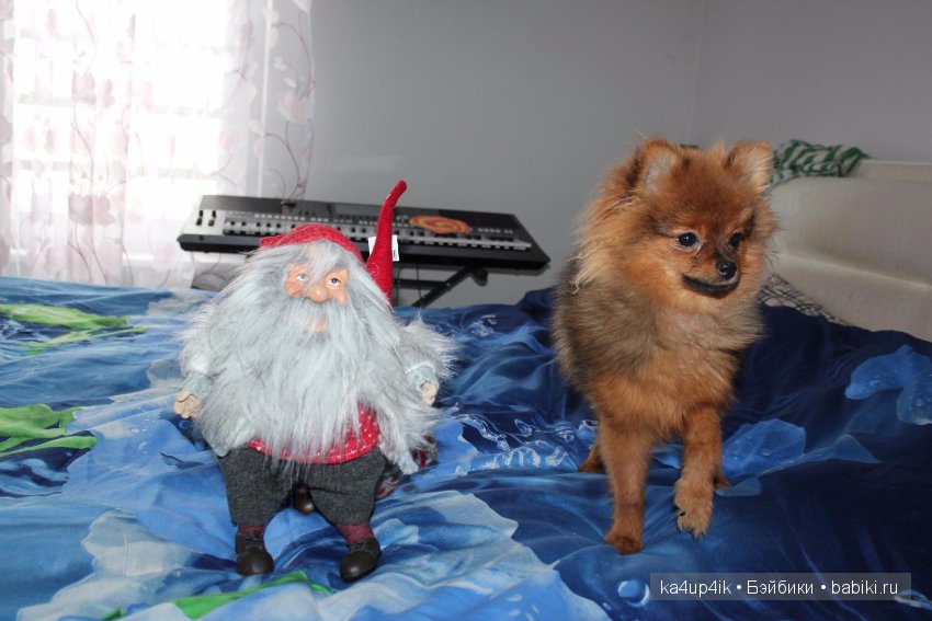 Мои гномики — Интересные игрушки и фигурки (разное): редкие (фото 6)