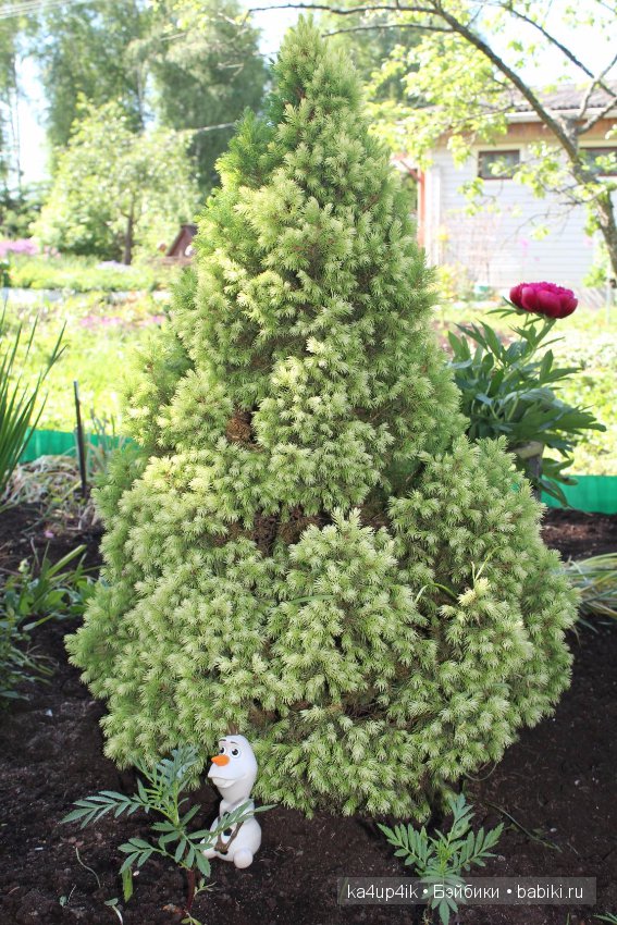 Олав увидел лето — Интересные игрушки и фигурки (разное): редкие