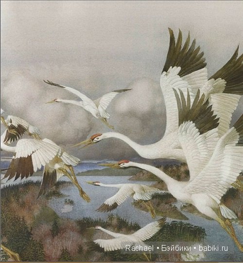 Сказочные иллюстрации Геннадия Спирина (фото 4)