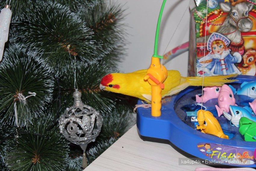 Птички - синички — Болталка и разговоры обо всем: жизнь