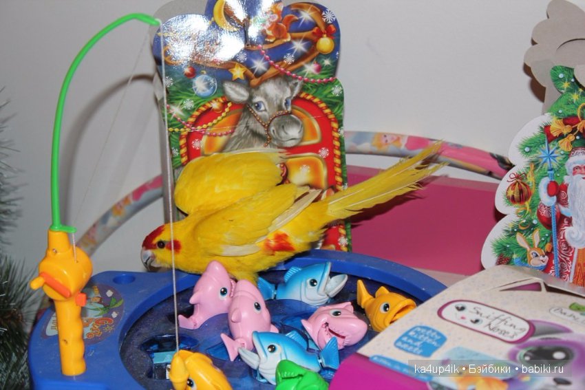 Птички - синички — Болталка и разговоры обо всем: жизнь