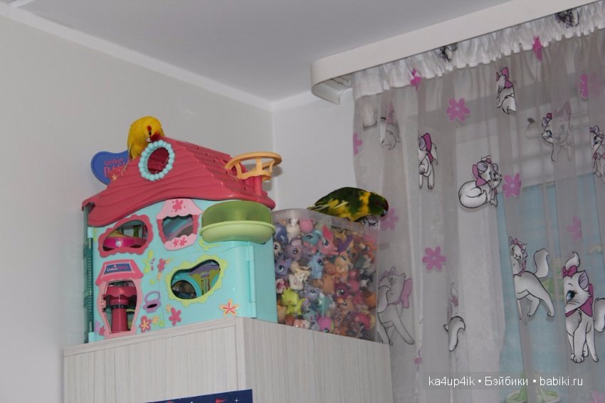 Птички - синички — Болталка и разговоры обо всем: жизнь