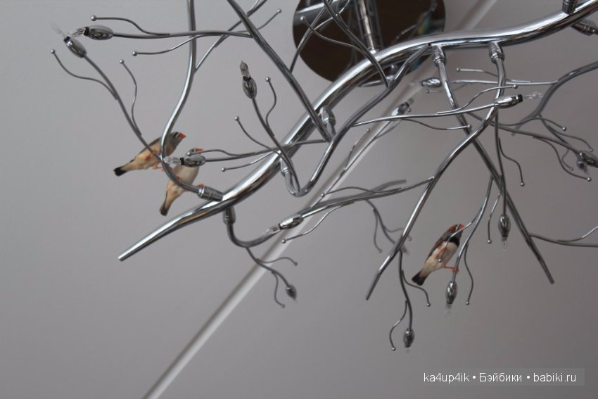 Птички - синички — Болталка и разговоры обо всем: жизнь