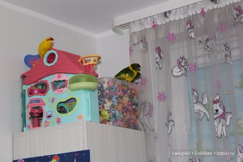 Птички - синички — Болталка и разговоры обо всем: жизнь