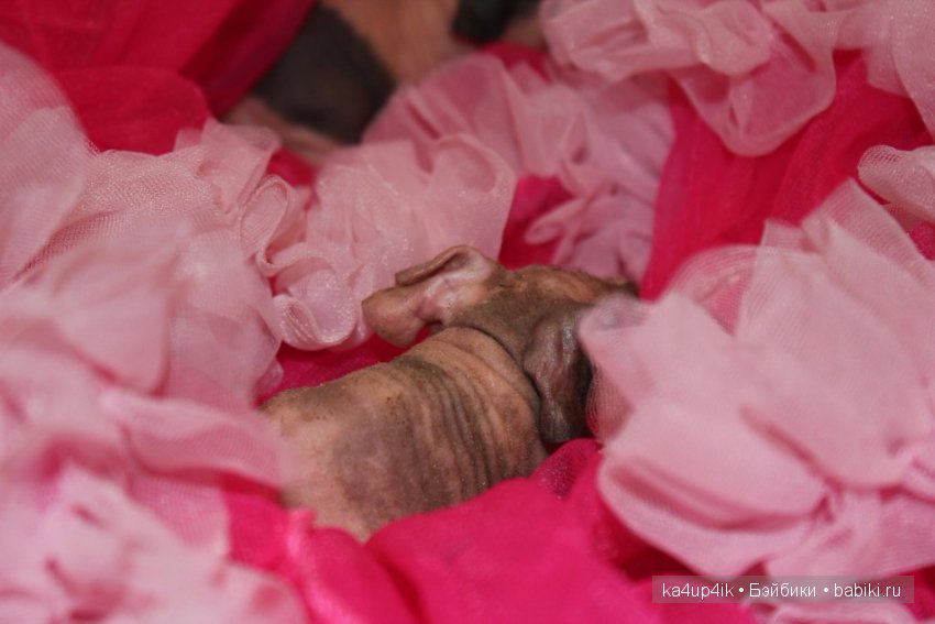 Свинюшки игрушки — Болталка и разговоры обо всем: жизнь (фото 2)