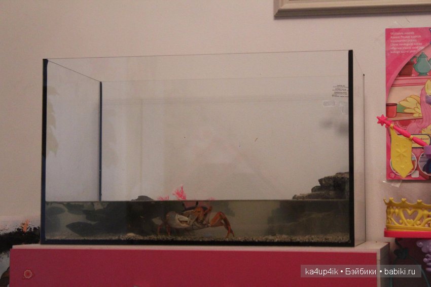 Мистер крабс у нас дома , а так же пачкулька и воонялка (фото 5)