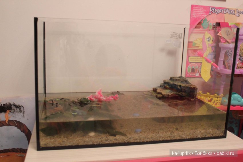 Мистер крабс у нас дома , а так же пачкулька и воонялка