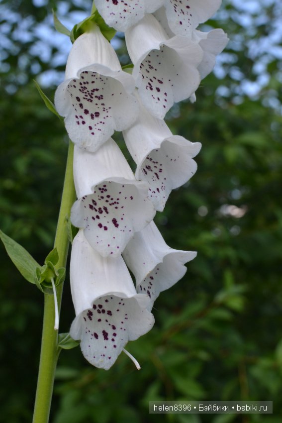 Летние модницы 2016. Одежда на кукол Готц