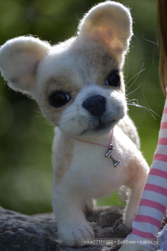 Меюшка со своим другом Кеном