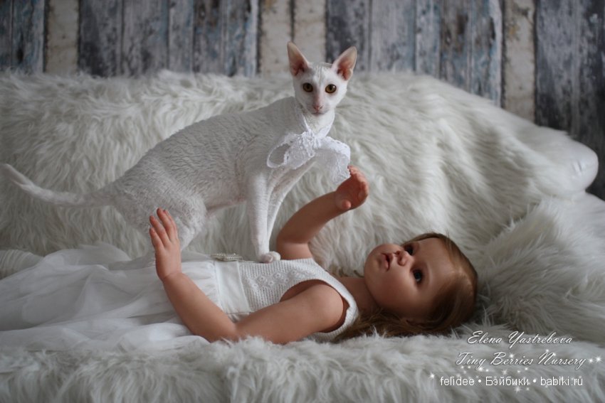 Моя Анжелика! Кукла-реборн Елены Ястребовой (фото 8)