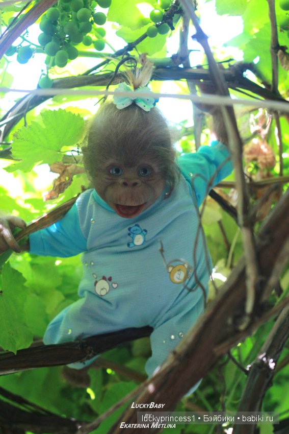 Моя третья обезьянка Анфиска, молд Бинки от Дениз Пратт