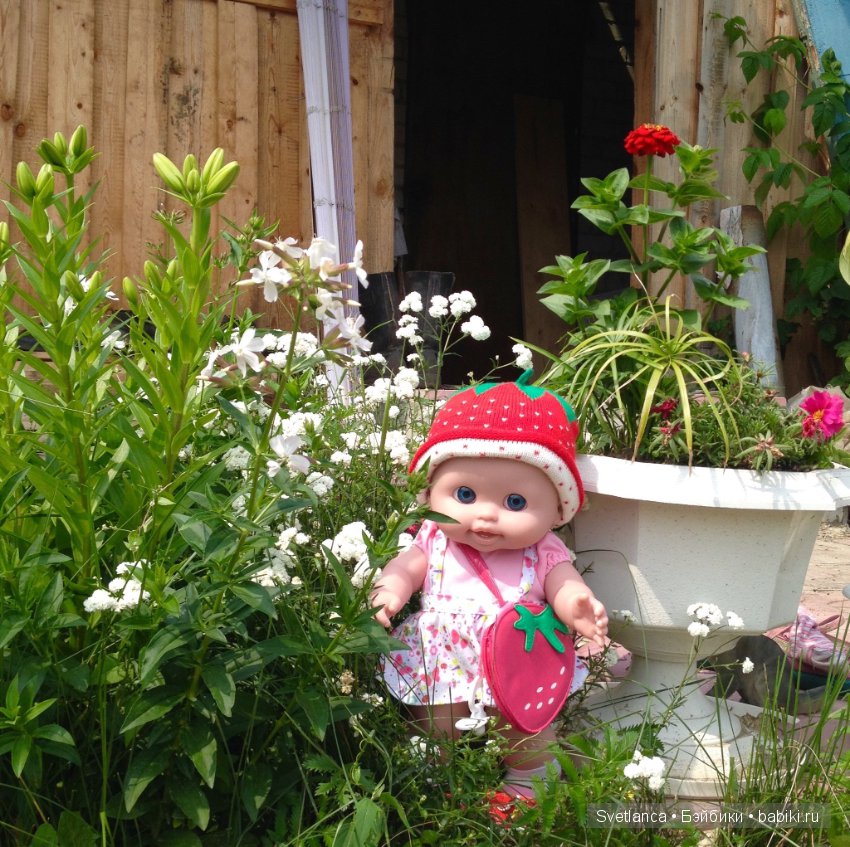 Как Беренжеры на даче отдыхали (фото 2)