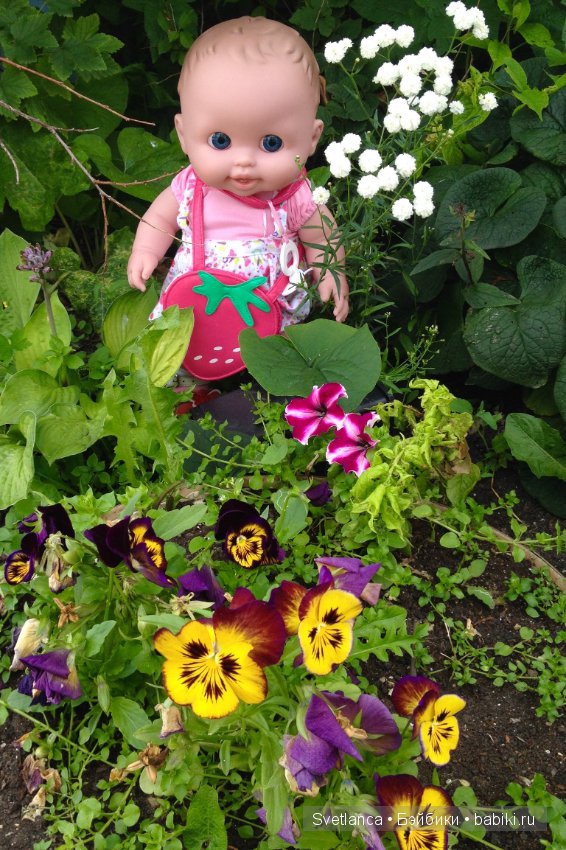 Как Беренжеры на даче отдыхали