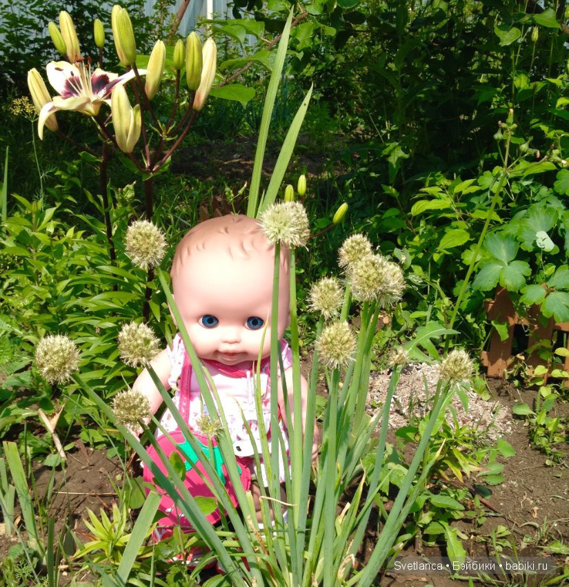 Как Беренжеры на даче отдыхали