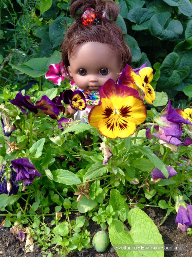 Как Беренжеры на даче отдыхали (фото 5)