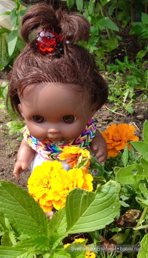 Как Беренжеры на даче отдыхали (фото 8)