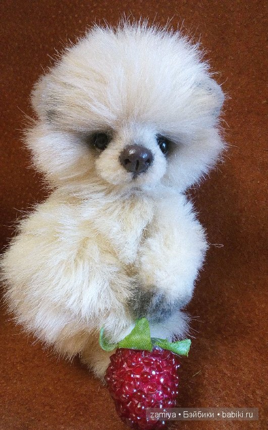 Буня - мой пушистый толстячок мишка теди